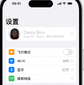 达拉特appleID维修服务iPhone设置中Apple ID显示为灰色无法使用