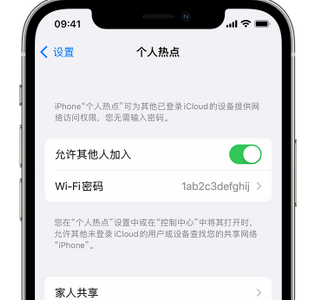 达拉特apple服务站点分享iPhone上个人热点丢失了怎么办 