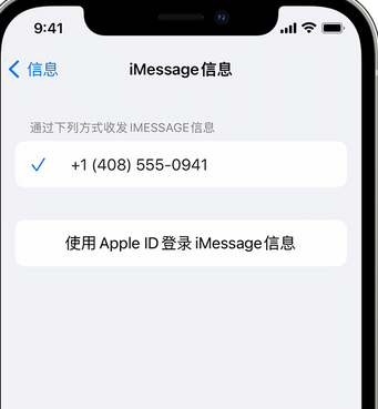 达拉特apple维修iPhone上无法正常发送iMessage信息 