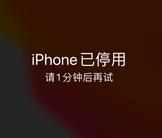 达拉特苹果手机维修分享:iPhone 显示“不可用”或“已停用”怎么办？还能保留数据吗？ 