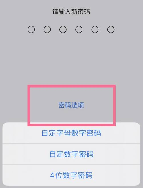 达拉特苹果14维修分享iPhone 14plus设置密码的方法 