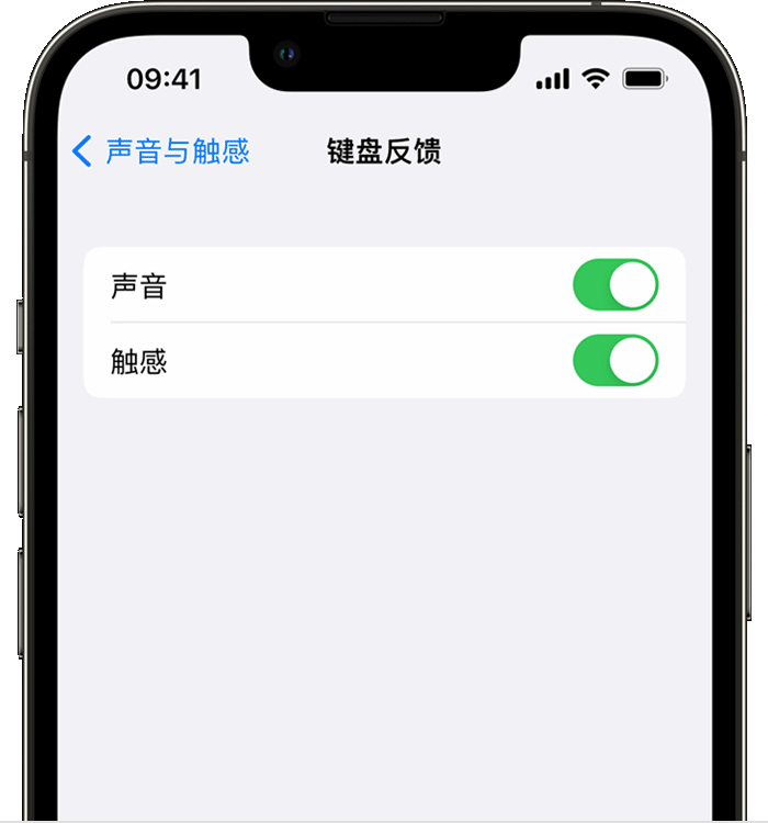 达拉特苹果14维修分享iPhone 14 系列机型如何开启键盘声音或触感反馈 