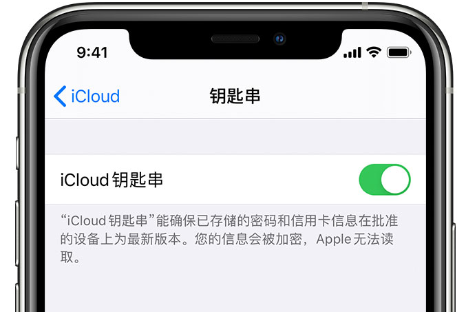 达拉特苹果手机维修分享在 iPhone 上开启 iCloud 钥匙串之后会储存哪些信息 