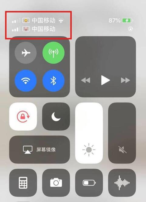 达拉特苹果手机维修分享为 iPhone 12 双卡设置标签 